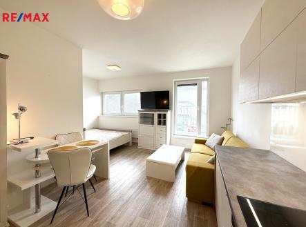 img-0100.jpg | Pronájem bytu, 1+kk, 30 m²