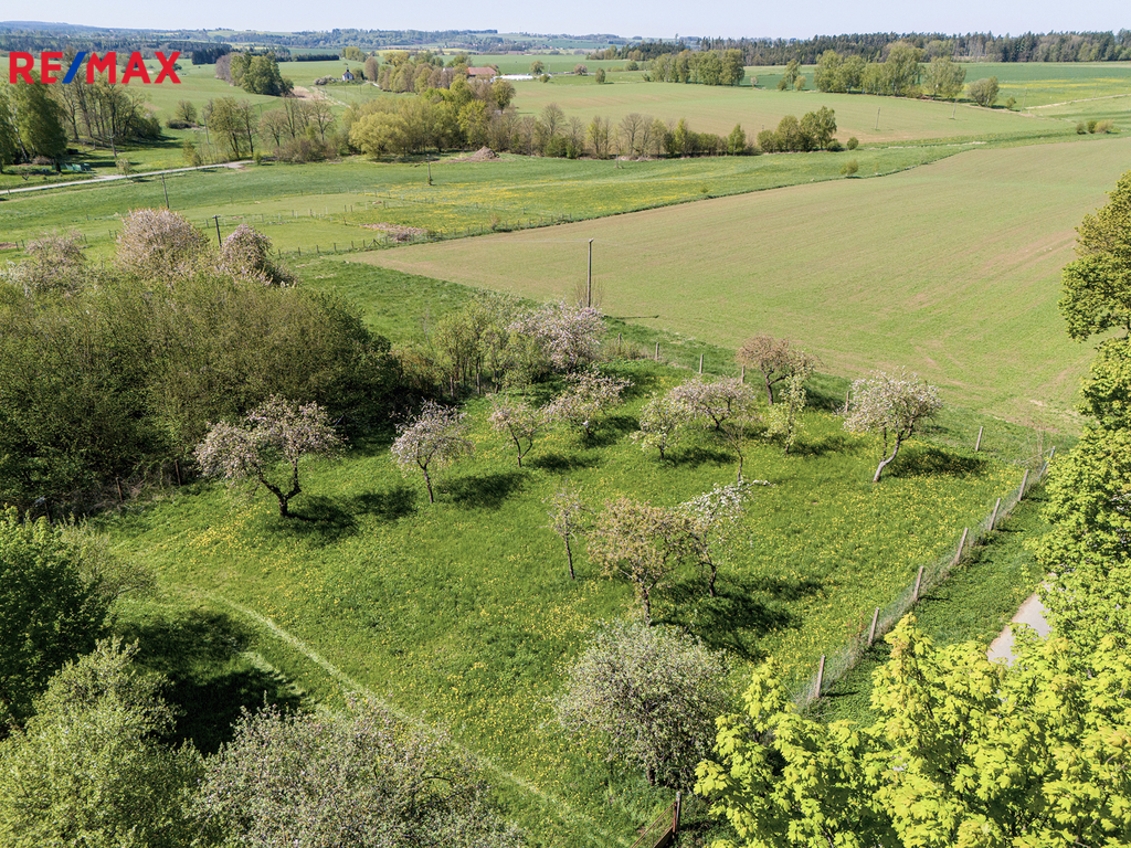 dji-20250427111221-0460-d.jpg