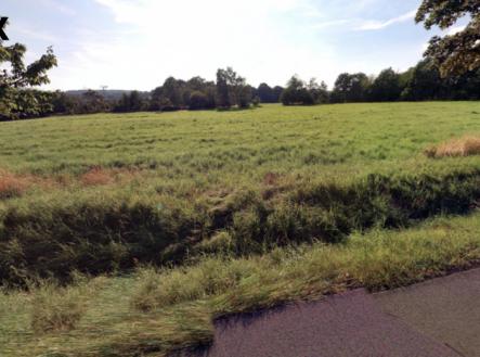 Pozemky na prodej | Prodej - pozemek, trvalý travní porost, 71 898 m²