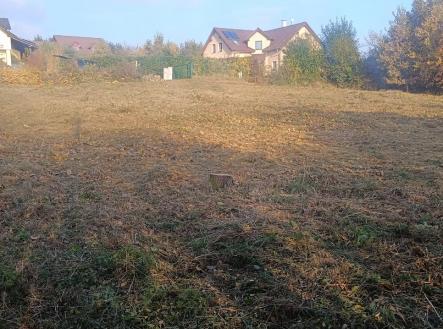 pozemek-leto-po-sekani.jpg | Prodej - pozemek pro bydlení, 1 757 m²