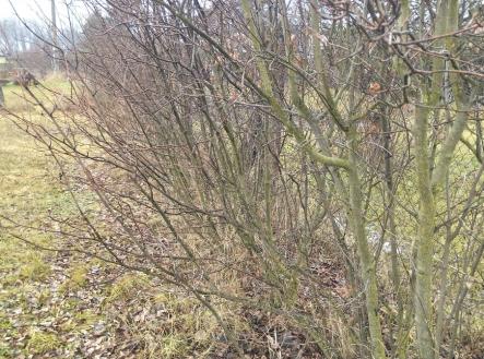 img-20260205-143001.jpg | Prodej - pozemek pro bydlení, 578 m²