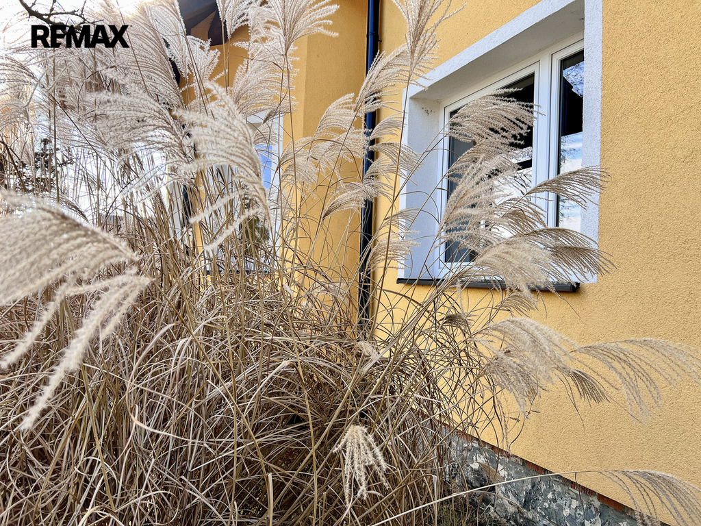 Prodej rodinného domu 6+1 se zahradou, Příchovice, Kucíny, Přeštice, Plzeň