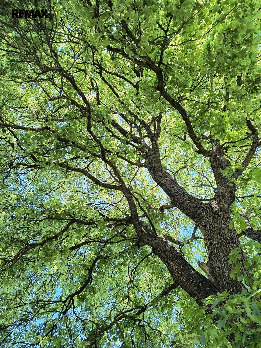 img-20260528-133056452-hdr.jpg