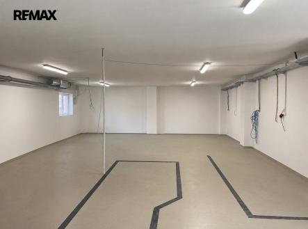 vg.jpg | Pronájem - skladovací prostor, 548 m²