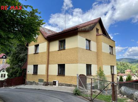 Prodej - dům/vila, 270 m²