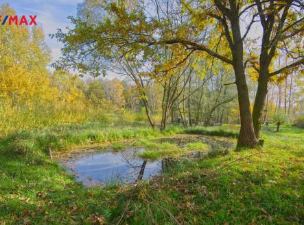 3.jpg | Prodej - pozemek, zahrada, 1 603 m²