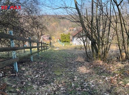 Příjezdová cesta | Prodej - pozemek pro bydlení, 10 089 m²
