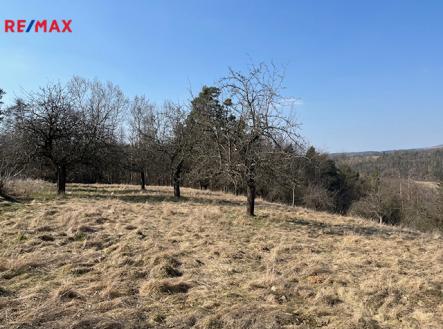img-3095.jpg | Prodej - pozemek pro bydlení, 10 089 m²