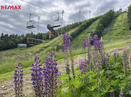 img-7157.jpeg | Prodej - hotel, 400 m²