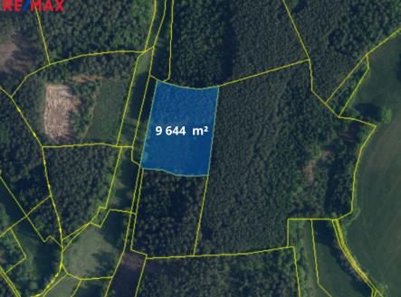 891.png | Prodej - pozemek, les, 66 688 m²
