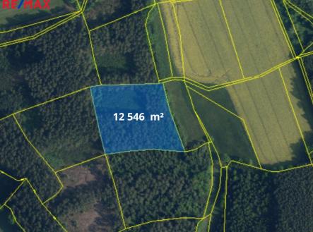 8637.png | Prodej - pozemek, les, 66 688 m²