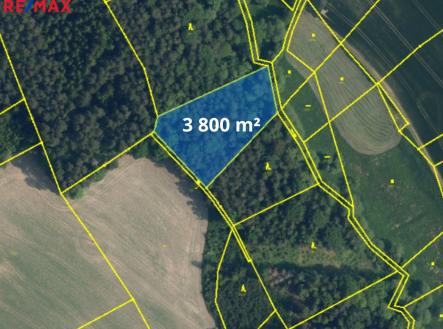 816.png | Prodej - pozemek, les, 66 688 m²