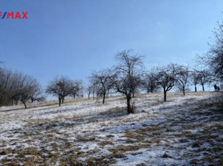 21c02ac1-15d0-4c63-9cc0-48898115a961.png | Prodej - pozemek pro bydlení, 10 089 m²