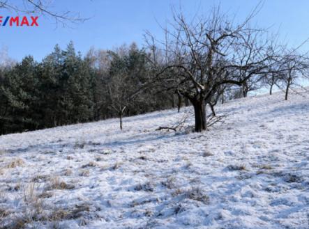 667655f3-3e4f-4b74-8251-6b1e31a7632e.png | Prodej - pozemek pro bydlení, 10 089 m²