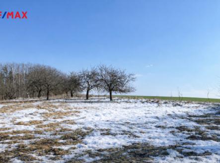 6e9254d9-6b3d-4fb1-b61c-6550224f0856.png | Prodej - pozemek pro bydlení, 10 089 m²