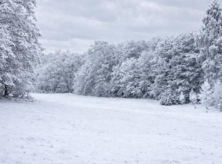 chatgpt-image-16.1.2026-10-23-53.png | Prodej - pozemek pro bydlení, 1 079 m²