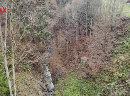 Pohled na jížní hranici parcely č.2133 | Prodej - pozemek, les, 5 535 m²