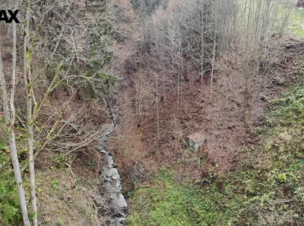 Pohled na jížní hranici parcely č.2133 | Prodej - pozemek, les, 5 535 m²