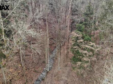 Celou parcelou č. 2133 prochází potok | Prodej - pozemek, les, 5 535 m²