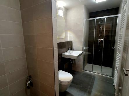 whatsapp-image-2026-01-04-at-11.05.42.jpeg | Pronájem bytu, 1+kk, 33 m²