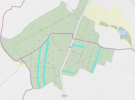 foto: 1 | Prodej - pozemek, les, 24 818 m²