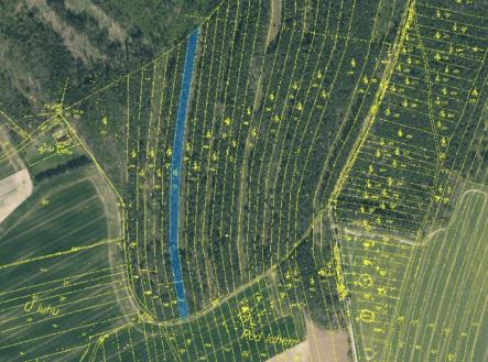 foto: 3 | Prodej - pozemek, les, 24 818 m²