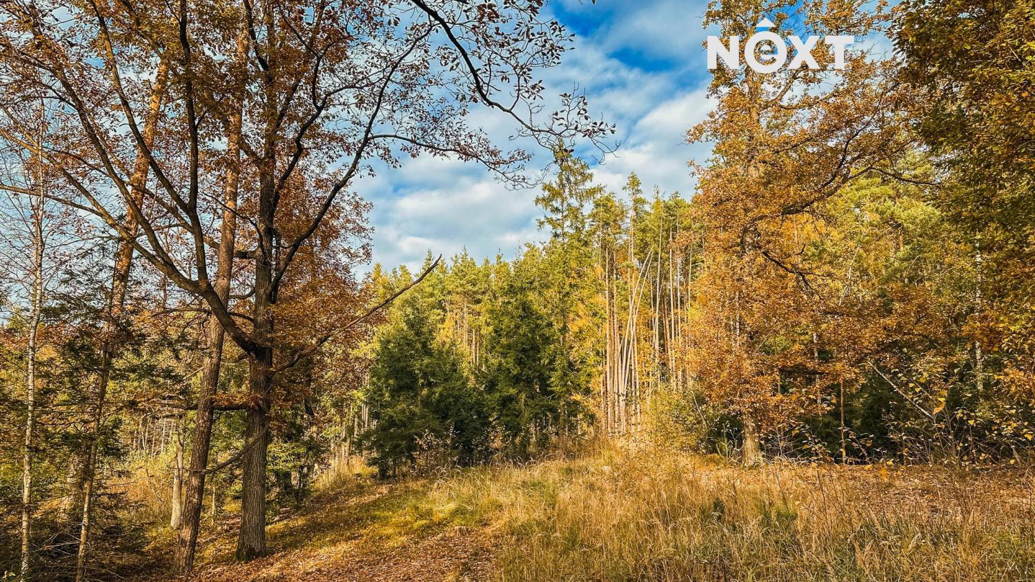Prodej pozemek Lesy, 13718㎡