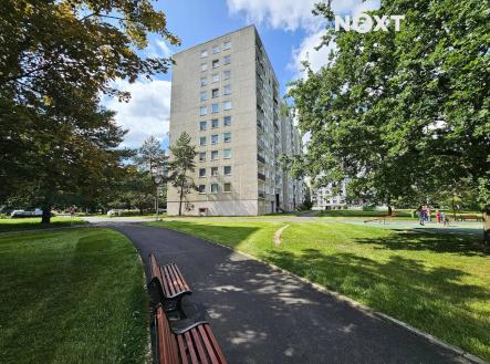 Pronájem bytu, 1+1, 45 m²