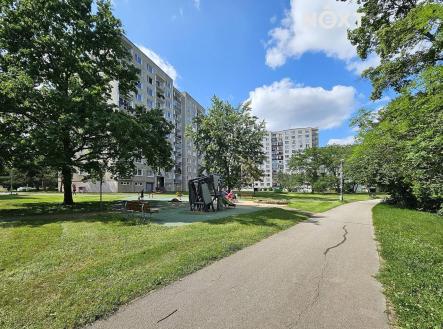 Pronájem bytu, 1+1, 45 m²