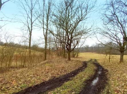 Prodej - pozemek, zemědělská půda, 205 693 m²