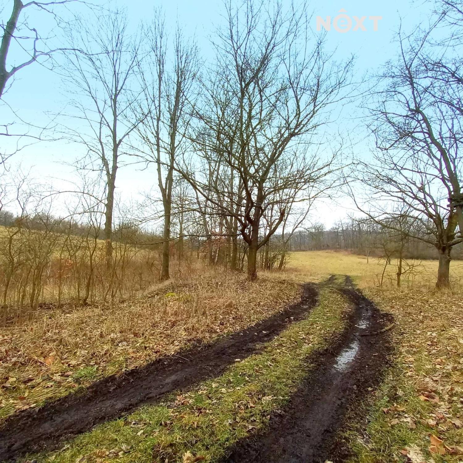 Prodej pozemek Bydlení, 205693㎡