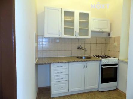 Pronájem bytu, 1+1, 55 m²