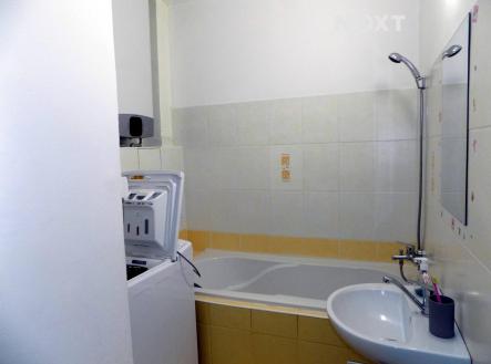 Pronájem bytu, 1+kk, 31 m²