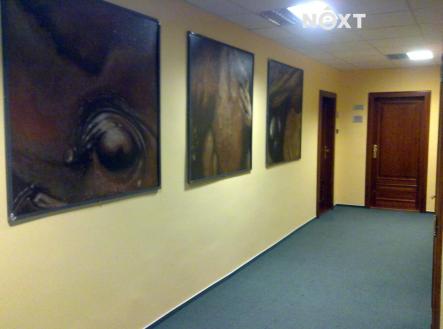 Pronájem - kanceláře, 22 m²