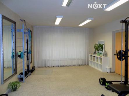 Pronájem - komerční objekt, obchodní centrum, 379 m²