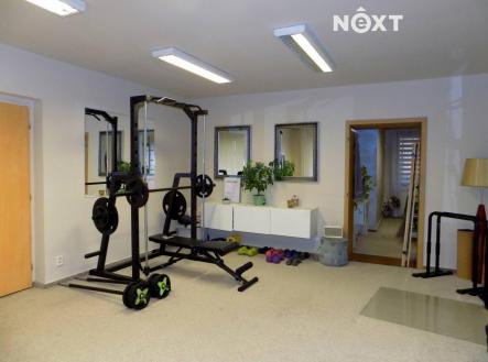 Pronájem - komerční objekt, obchodní centrum, 379 m²