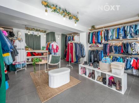 Prodej - dům/vila, 243 m²