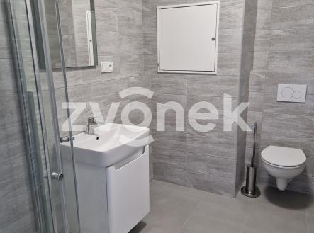 Obrázek k zakázce č.: 710602 | Pronájem bytu, 1+kk, 35 m²