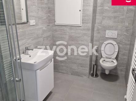 Obrázek k zakázce č.: 710602 | Pronájem bytu, 1+kk, 35 m²