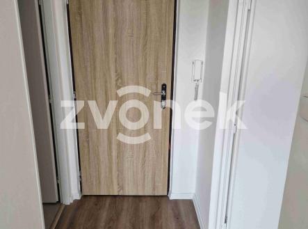 Obrázek k zakázce č.: 711262 | Pronájem bytu, 1+1, 38 m²