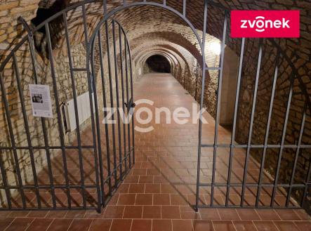 Obrázek k zakázce č.: 712802 | Pronájem - jiné, 650 m²