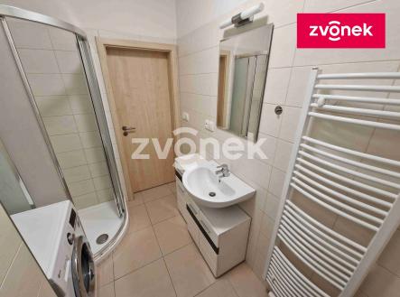 Obrázek k zakázce č.: 724841 | Pronájem bytu, 1+kk, 39 m²