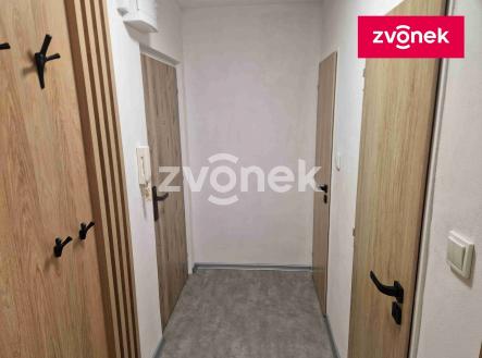 5 | Pronájem bytu, 1+1, 44 m²