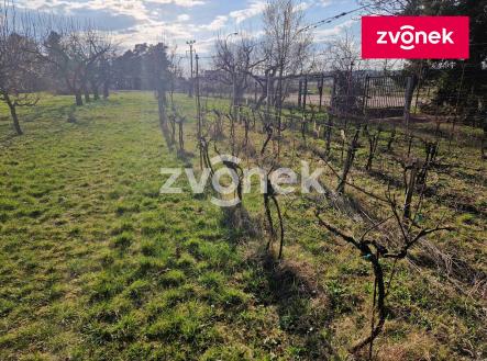 Obrázek k zakázce č.: 729641 | Prodej - pozemek pro bydlení, 1 931 m²