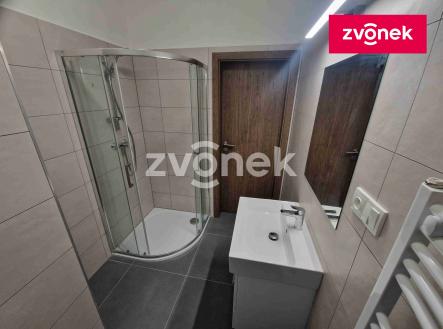 Obrázek k zakázce č.: 730621 | Pronájem bytu, 1+kk, 38 m²