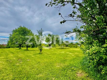 IMG_7839 | Prodej - pozemek pro bydlení, 2 143 m²
