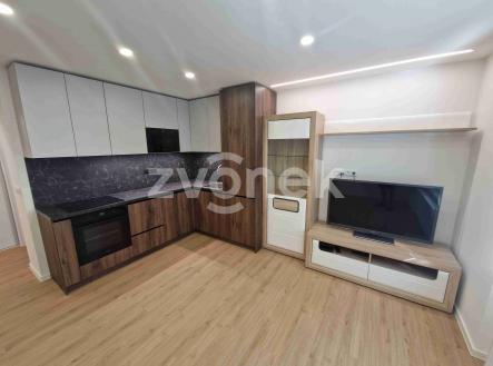 Pronájem bytu 3+1 po celkové rekonstrukci ul. Prokopa Holého  3 | Pronájem bytu, 3+kk, 62 m²