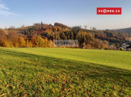 Obrázek k zakázce č.: 706736 | Prodej - pozemek, trvalý travní porost, 20 000 m²