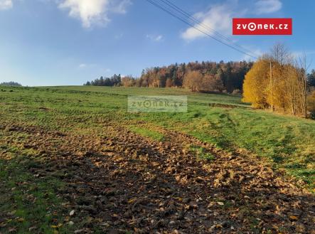 3 | Prodej - pozemek, trvalý travní porost, 20 000 m²