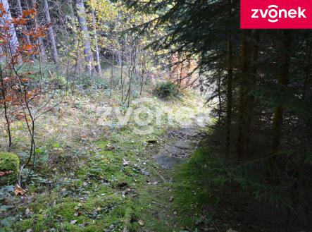 Obrázek k zakázce č.: 716482 | Prodej - chata/rekreační objekt, 65 m²